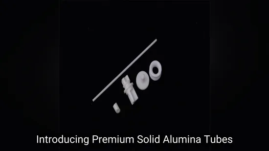 Custom Made Alumina Ceramic Components OEM Service